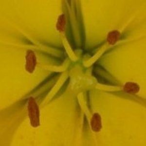 Meet your Posher, Lynda